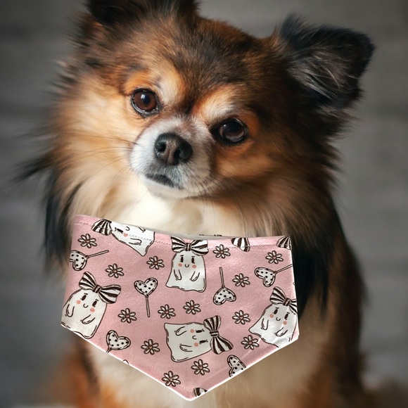 Fall collection - Picture 1 of 3